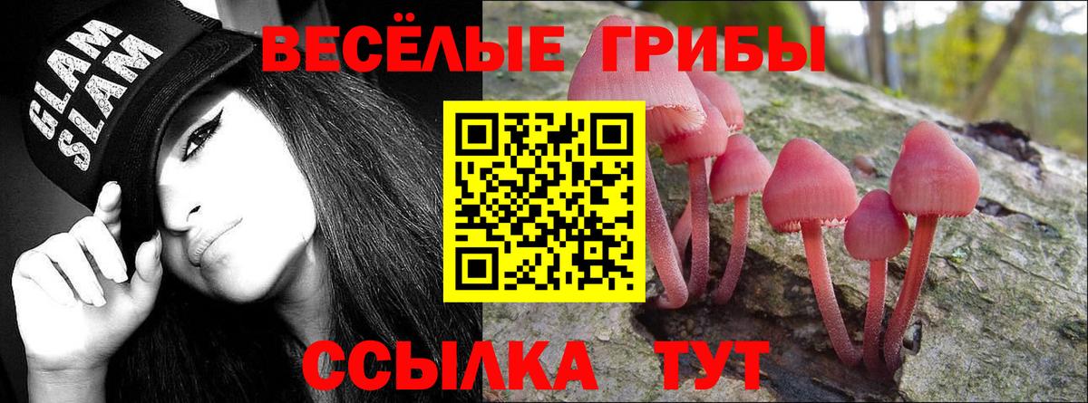 что такое   Псилоцибиновые грибы Magic Shrooms  Вход с VPN  Бердск  Галлюциногенные грибы MAGIC MUSHROOMS 