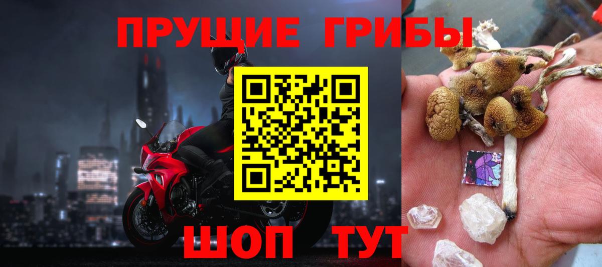 Галлюциногенные грибы прущие грибы Бердск
